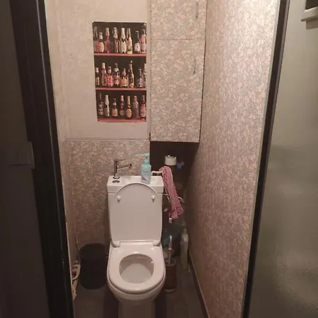 One Person One Or Three People Or Entire Appartement *