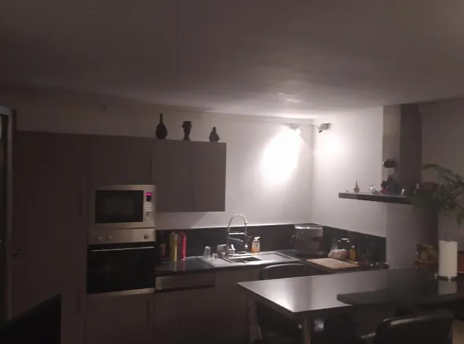 Private Room In Shared Apartment * גרנובל